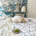 New style milk lamb velvet cashmere printed blanket